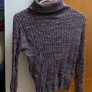 Purple and Gray Turtle Neck